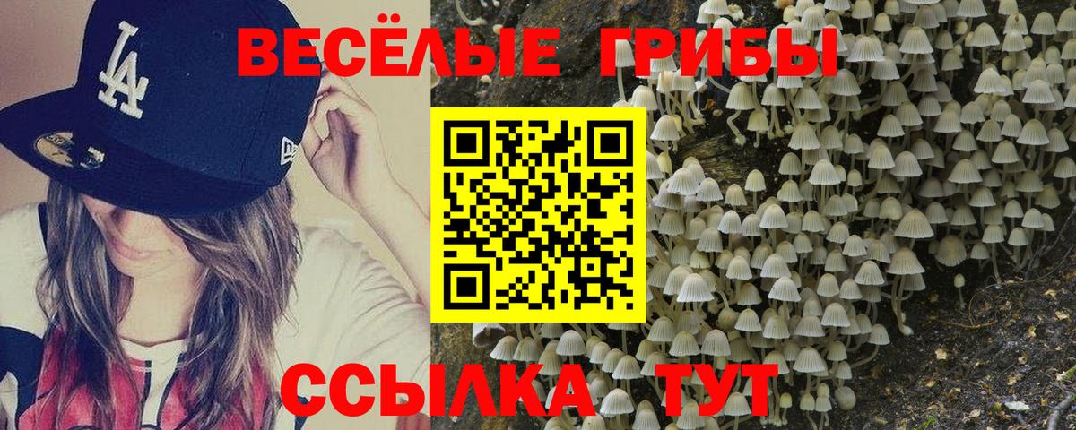 МЕТ  Каннабис  Касимов  Меф МЯУ МЯУ   Экстази  ГАШИШ  Гашиш  Вход с VPN 