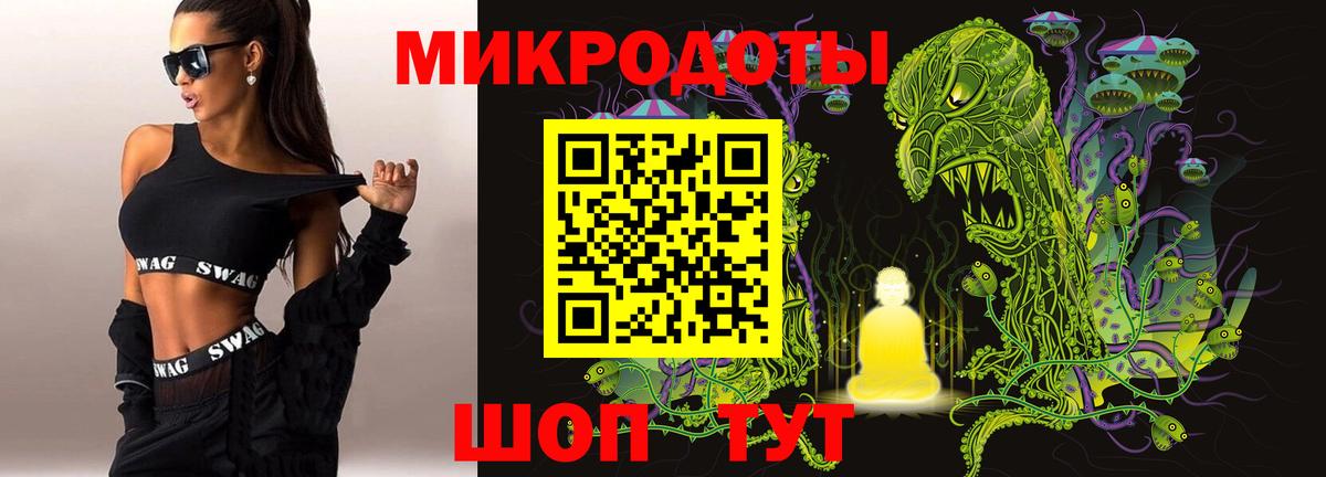 купить наркотики цена  Вход с VPN  Касимов  Галлюциногенные грибы MAGIC MUSHROOMS 